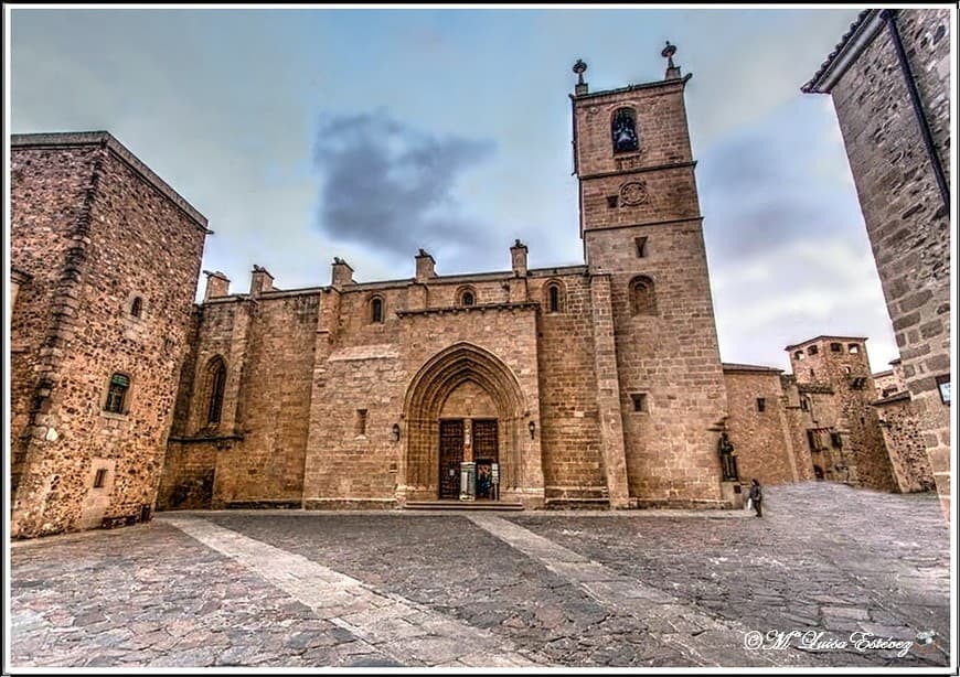 Lugar Concatedral de Santa María