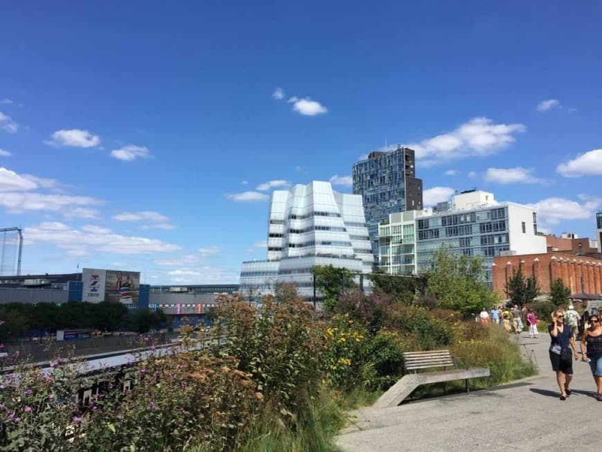 Lugar The High Line