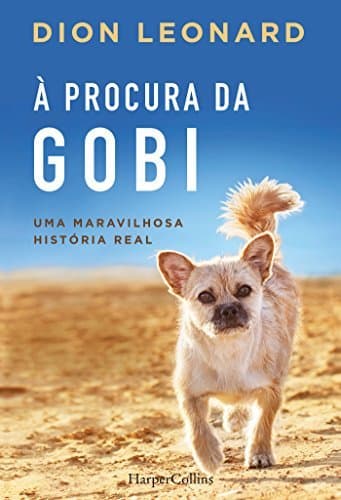 Libro À procura da Gobi 