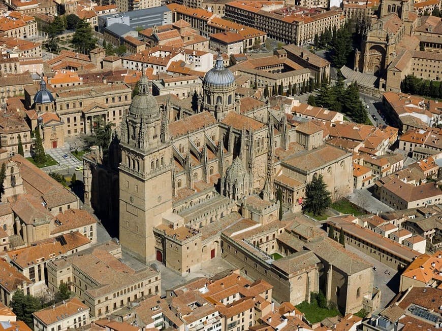 Lugar Catedral de Salamanca