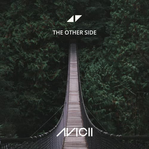 Music Avicii- Other Side