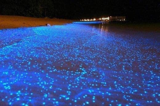 Lugar Sea of Stars