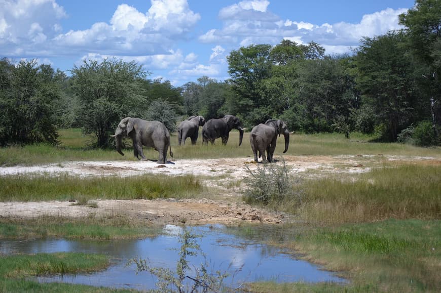 Lugar Kuando Kubango