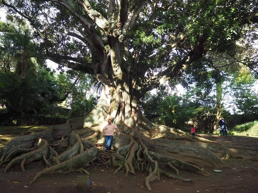 Lugar Jardim António Borges