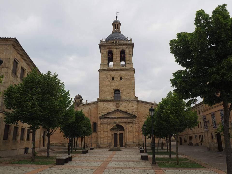 Place Catedral de Ciudad Rodrigo