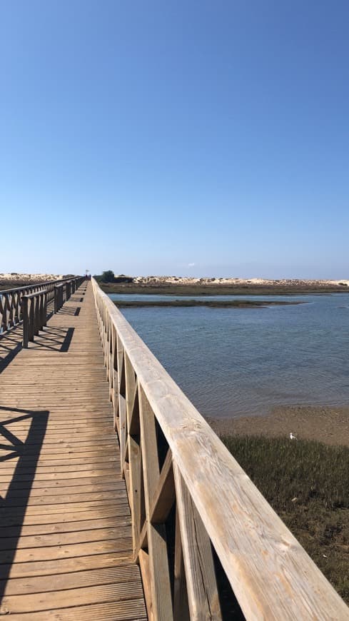 Restaurants Gigi's Beach bar Quinta do Lago