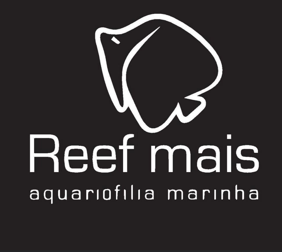 Place Reefmais