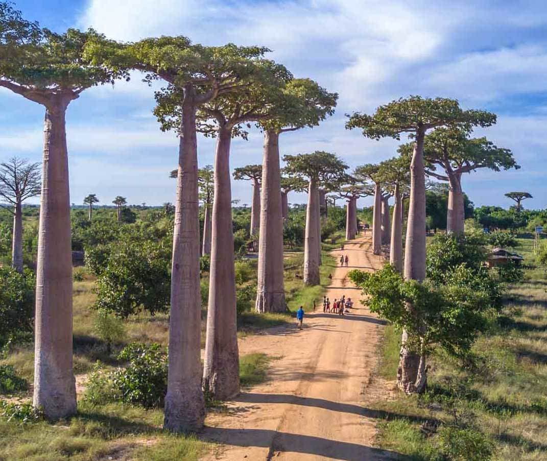 Lugar Madagascar