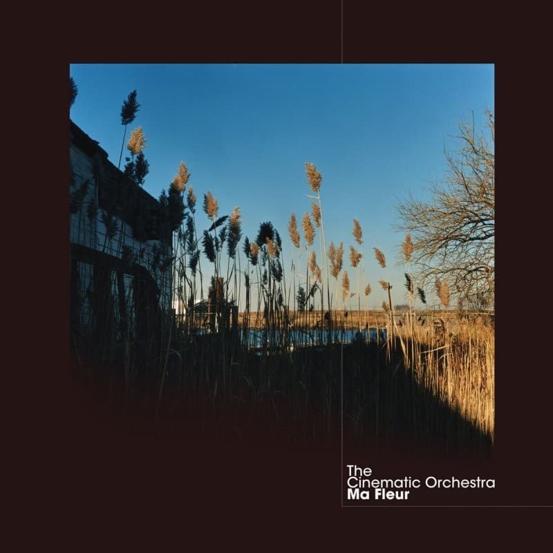 Canción the cinematic orchestra - to build a home