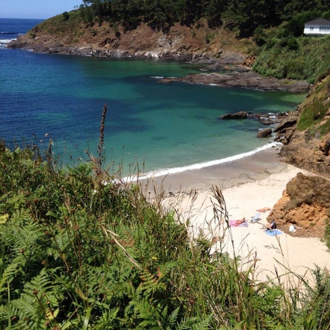 Place Playa de Canabal