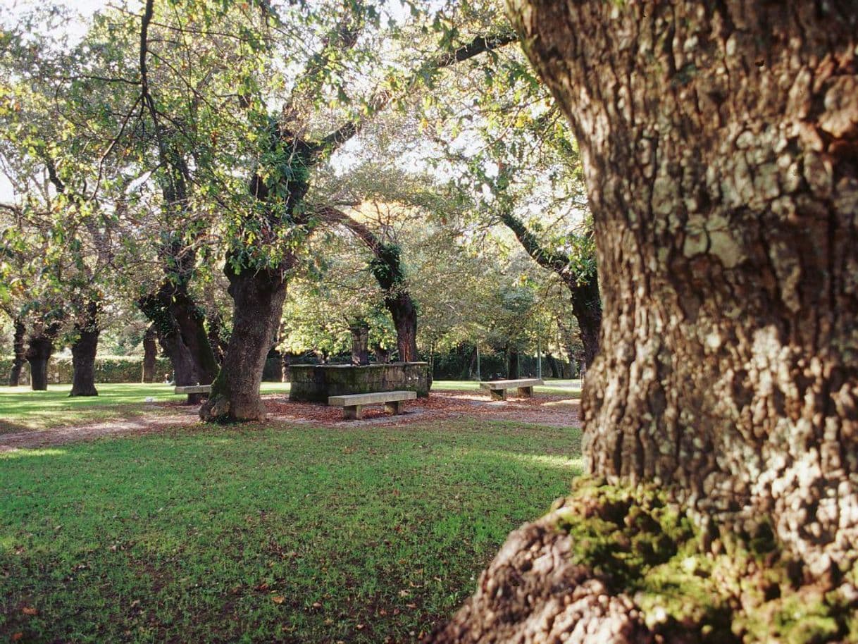 Place Rúa da Carballeira de San Lourenzo