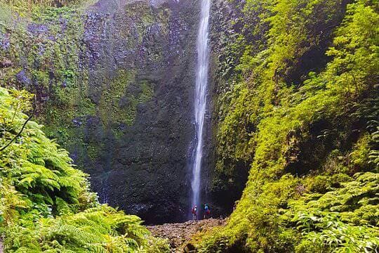 Place Levada do Caldeirão Verde