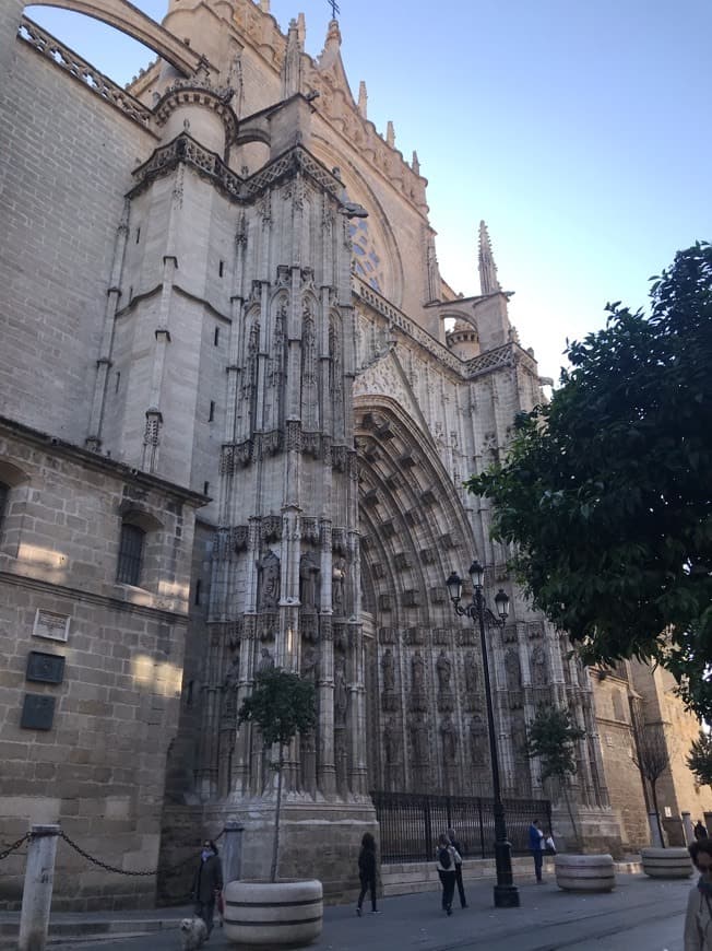 Place Catedral de Sevilla