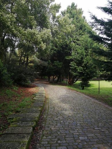 Lugar Parque da Cidade