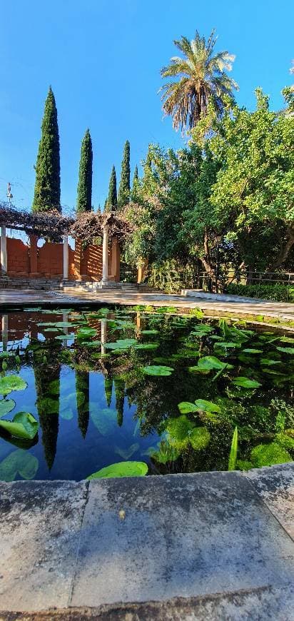 Place Jardín Botánico