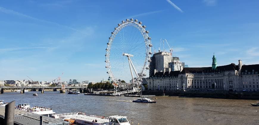 Place London Eye