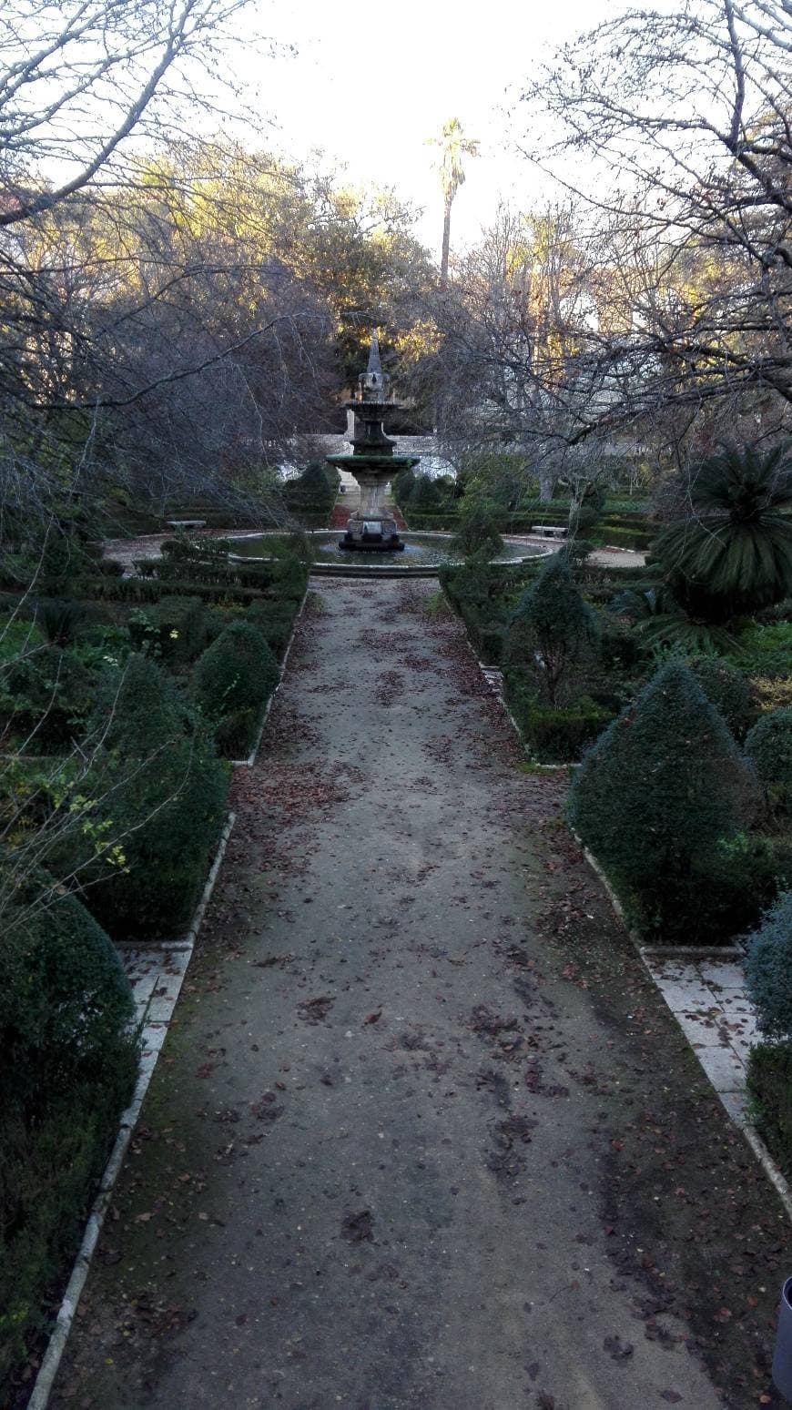 Lugar Jardim Botânico da Universidade de Coimbra