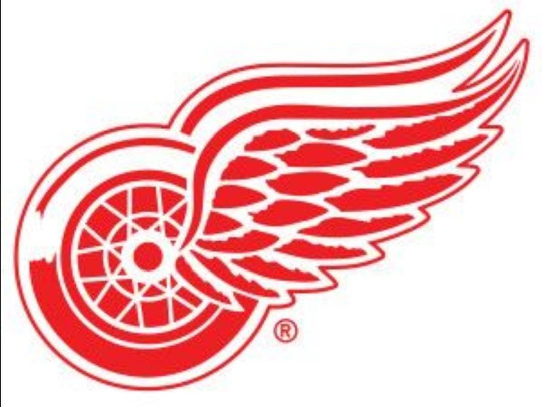 Fashion Detroit Red Wings