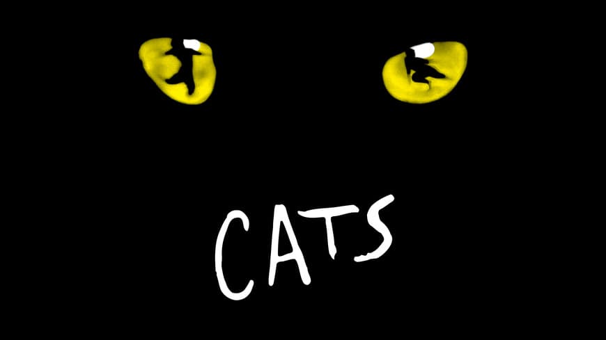 Moda Cats the Musical • Official Website and Tickets