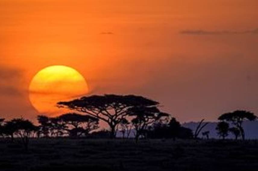 Place Parque Nacional Serengeti 🇹🇿