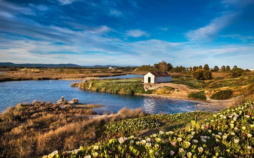 Lugar Ria Formosa