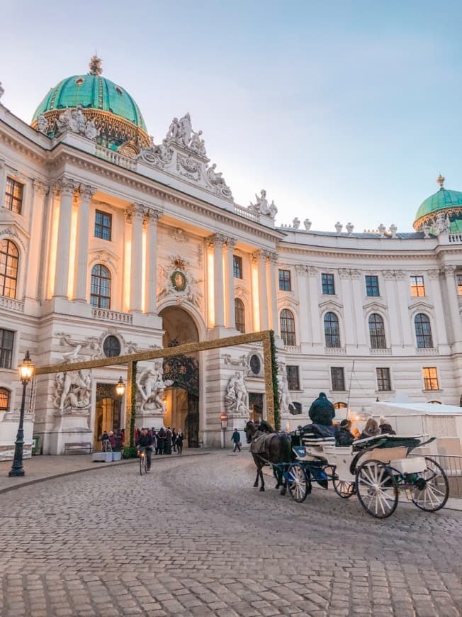 Lugar Hofburg Palace Silver Collection of Vienna