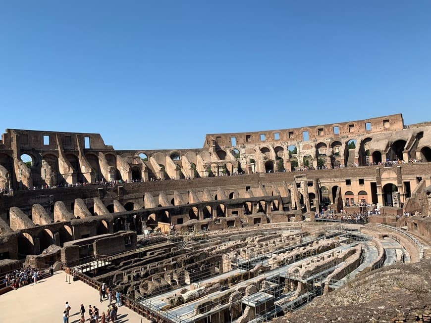 Lugar Coliseo de Roma