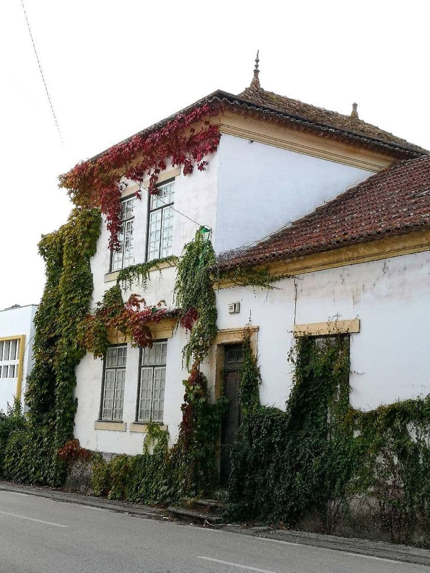 Place Caves São João - Sociedade dos Vinhos Irmãos Unidos, Lda