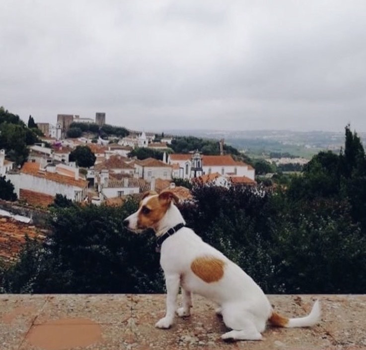 Place Óbidos