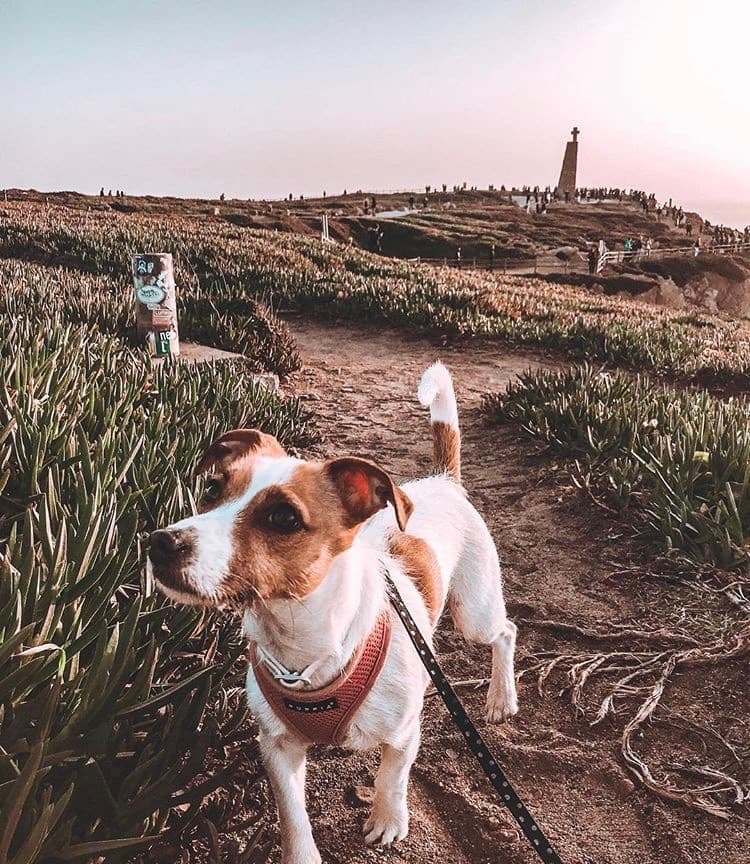 Place Cabo Da Roca