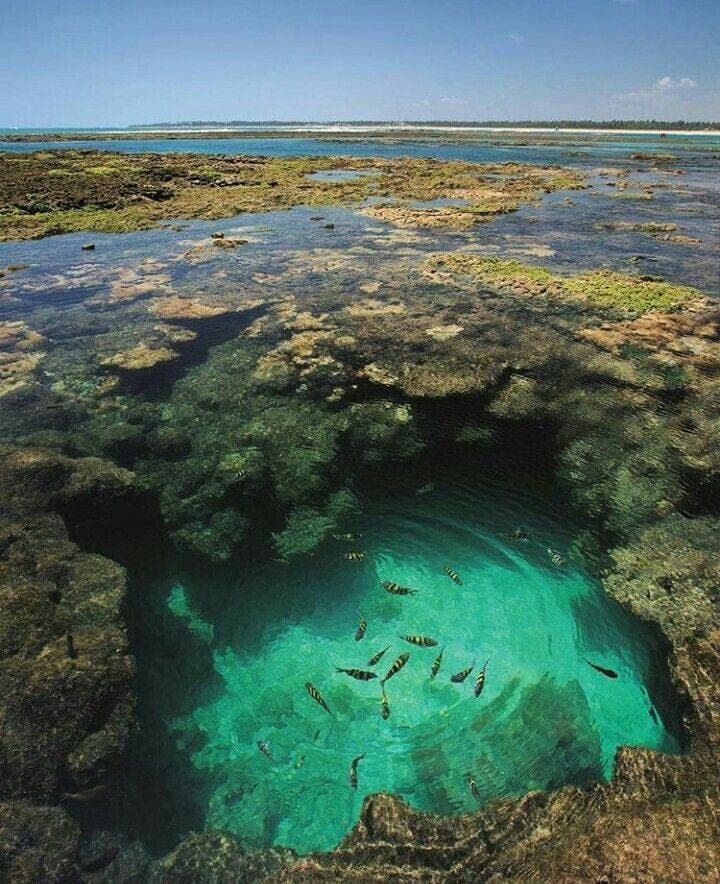 Lugar Porto de Galinhas