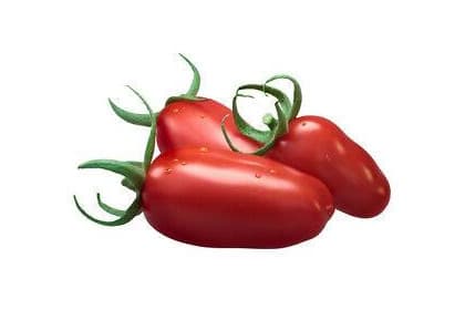 Product 
TOMATE SAN MARZANO ECOLOGICO 150 Semillas seeds