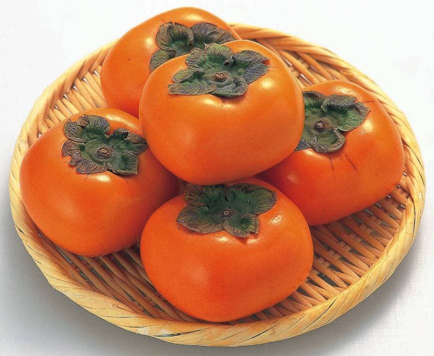 Product CAQUI diospyros kaki PERSIMMON 10 semillas seeds ecologico 