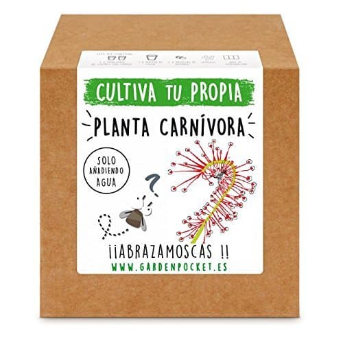 Place Pocket Juice - Kit Garden Pocket Semillas De Planta Carnívora Drosera