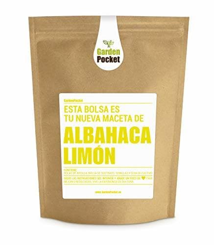 Place kit de cultivo ALBAHACA LIMÓN