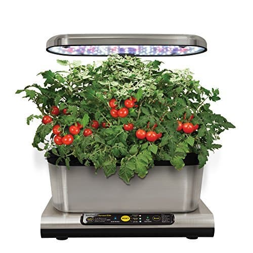 Place Miracle-Gro AeroGarden Harvest Elite con Kit de cápsulas de semillas de hierbas