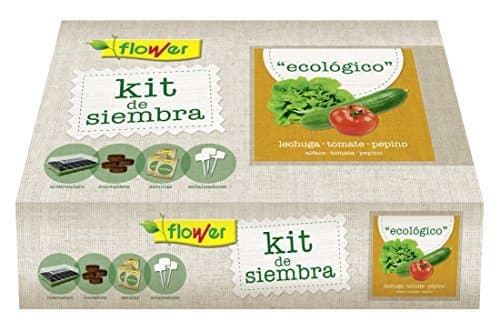 Place Flower 51178 51178-Kit Semillas ecologico