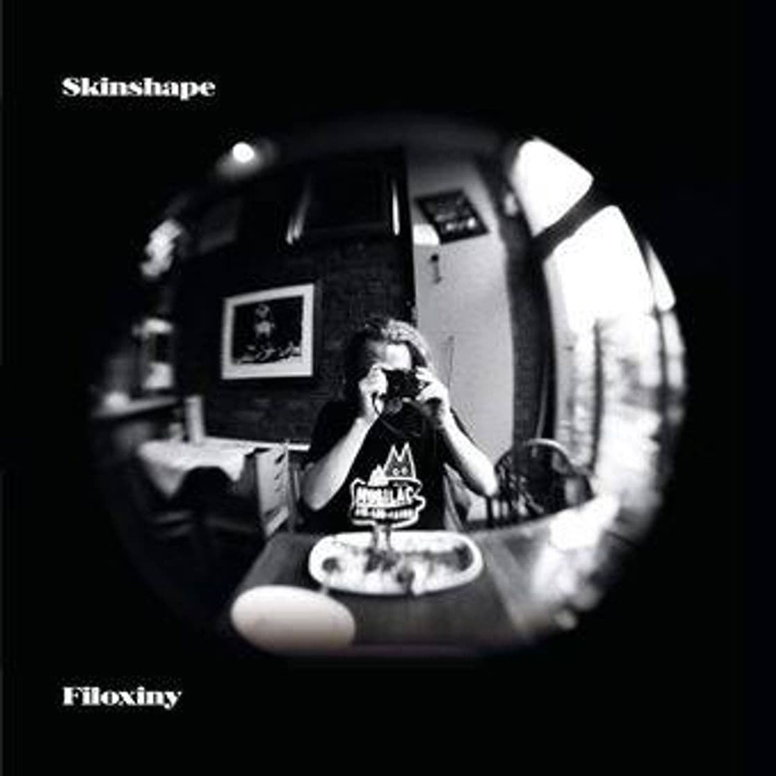 Canción Skinshape - Filoxiny