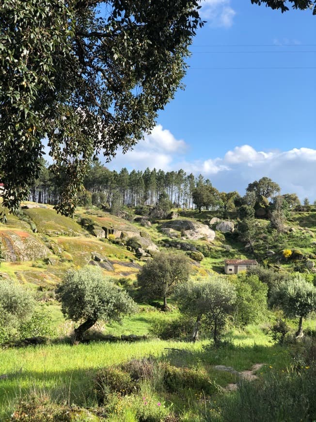 Place Campos de Vale de Prazeres 