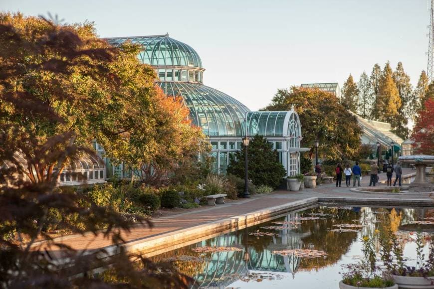 Lugar Brooklyn Botanic Garden