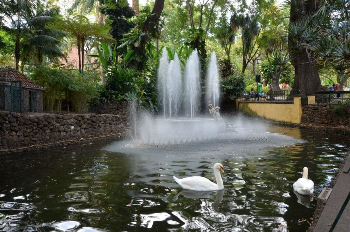 Lugar Jardim Municipal do Funchal