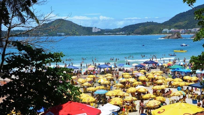 Lugar Ubatuba