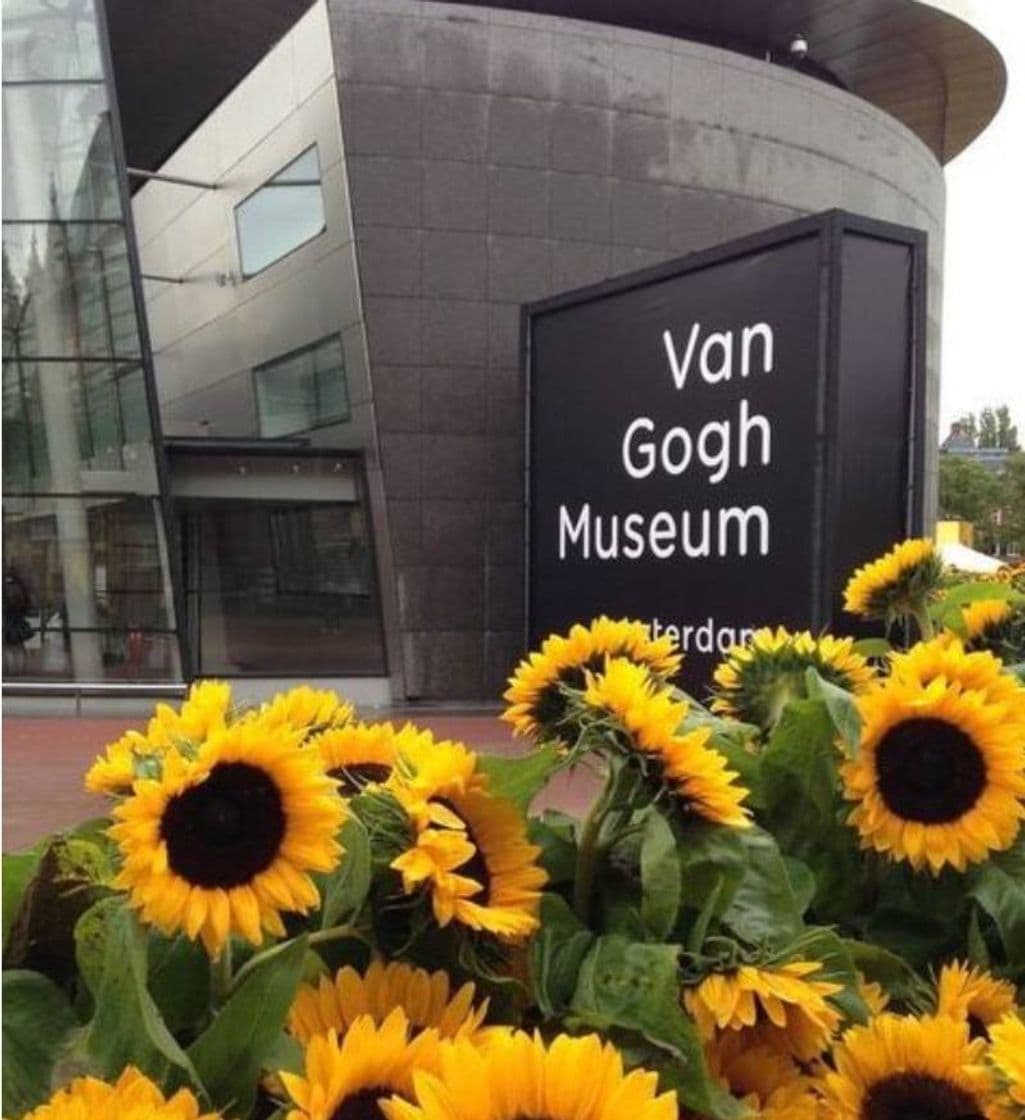 Place Van Gogh Museum