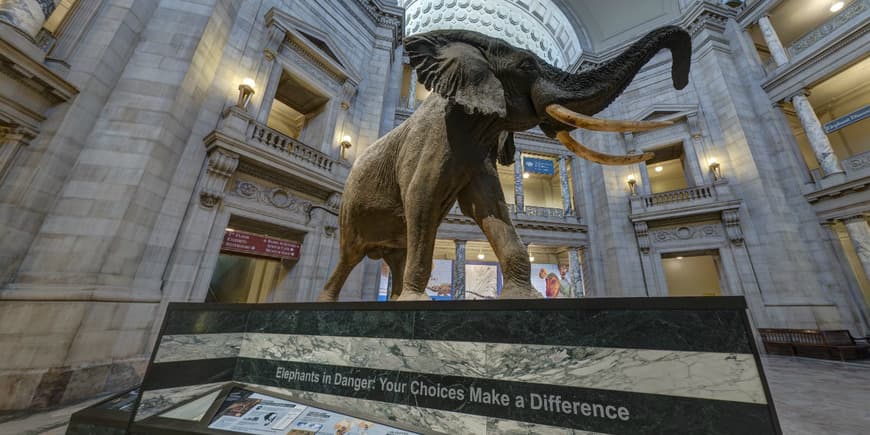 Place Virtual Tour | Smithsonian National Museum of Natural History