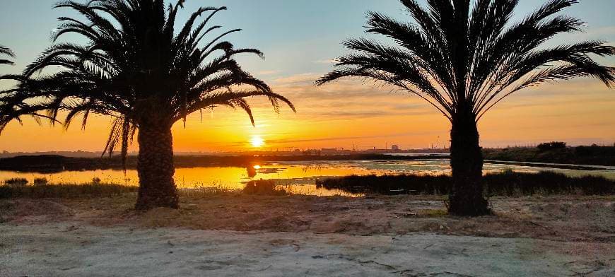 Place Marinha de Santiago - Universidade de Aveiro