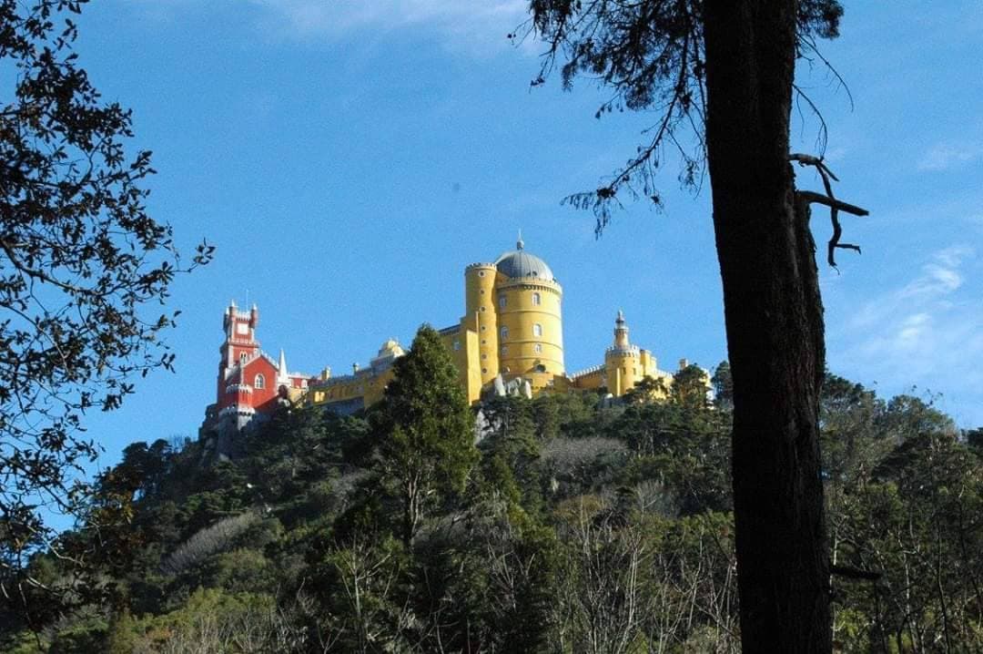 Lugar Palacio da Pena