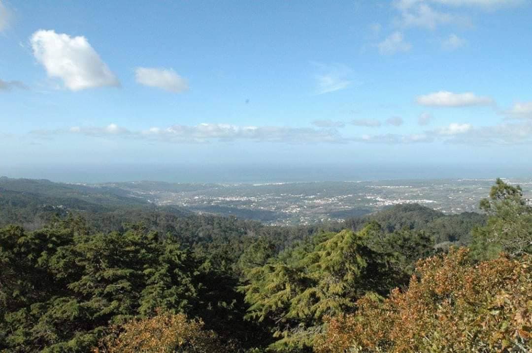 Lugar Sintra Mountains