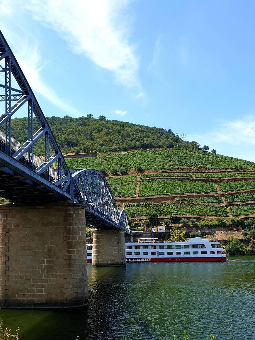 Lugar Douro