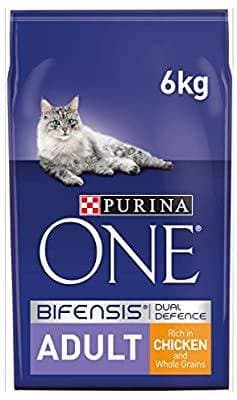 Fashion Purina cat