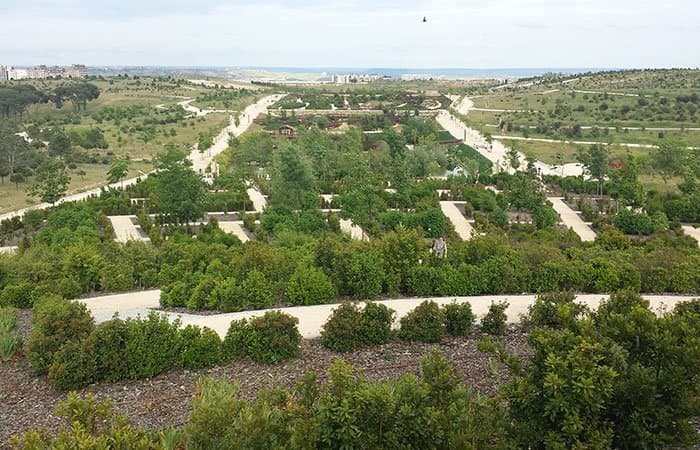 Place Parque Forestal de Valdebebas